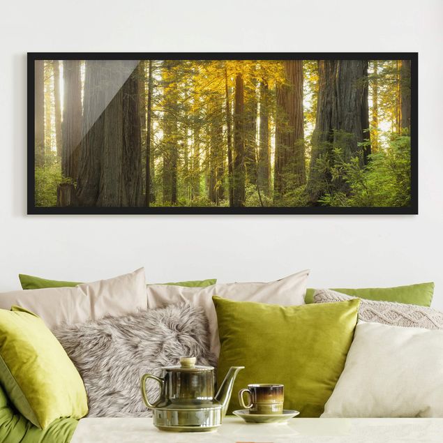 Wanddeko Wohnzimmer Redwood National Park