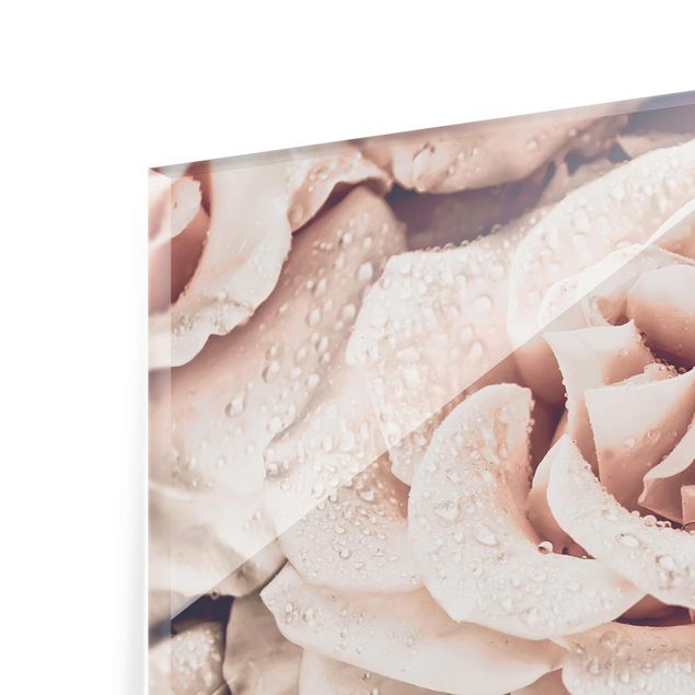 Wanddeko Esszimmer Rosen Sepia mit Wassertropfen