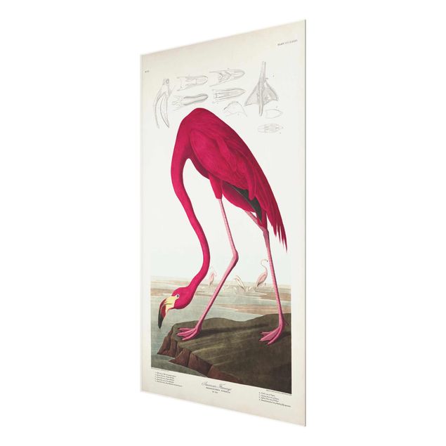 Wanddeko Treppenhaus Vintage Lehrtafel Amerikanischer Flamingo