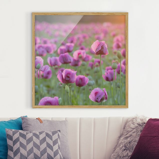 Wanddeko Wohnzimmer Violette Schlafmohn Blumenwiese im Frühling