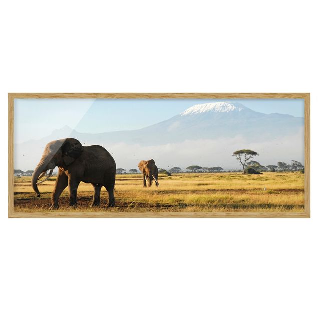 Wanddeko Flur Elefanten vor dem Kilimanjaro in Kenya