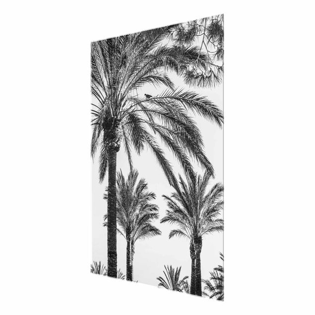 Wanddeko über Sofa Palmen im Sonnenuntergang Schwarz-Weiß