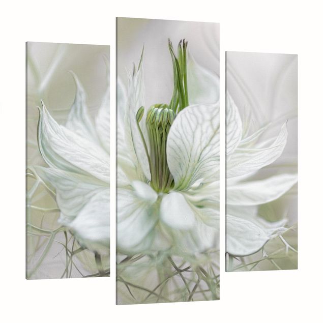 Deko Blume Weiße Nigella