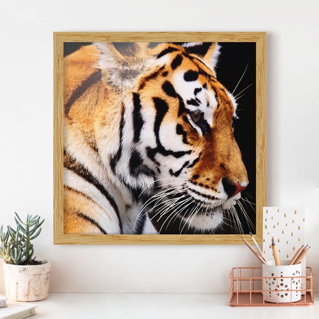 Wanddeko Wohnzimmer Tiger Schönheit