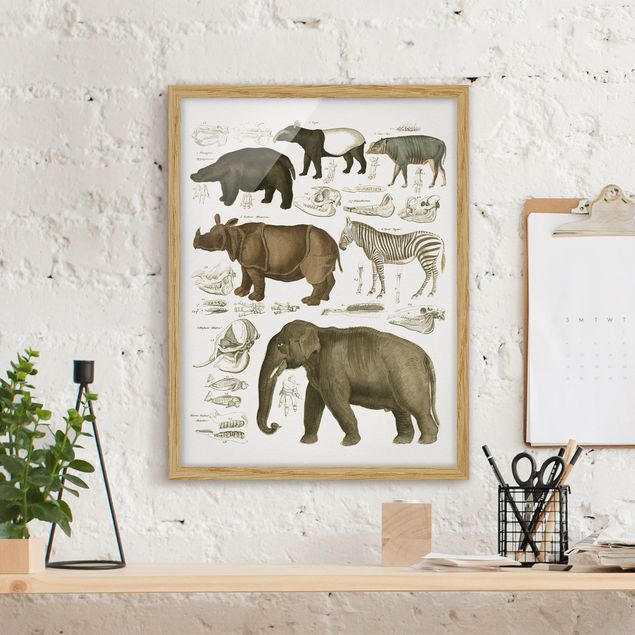 Wohndeko Afrika Vintage Lehrtafel Elefant, Zebra und Nashorn