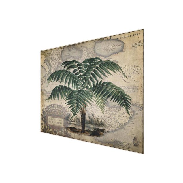 Wanddeko Jugendzimmer Vintage Collage - Palme und Weltkarte