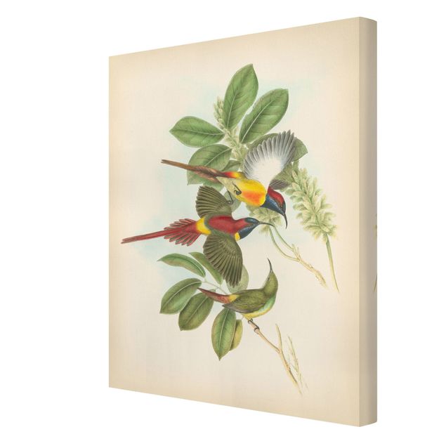 Wanddeko Büro Vintage Illustration Tropische Vögel III