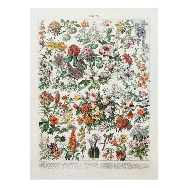 Wanddeko Flur Vintage Lehrtafel Blumen II