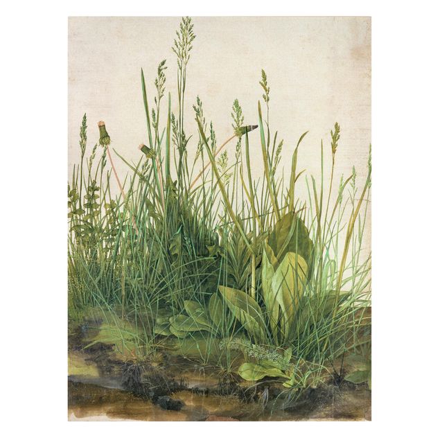 Deko Gräser Albrecht Dürer - Das große Rasenstück