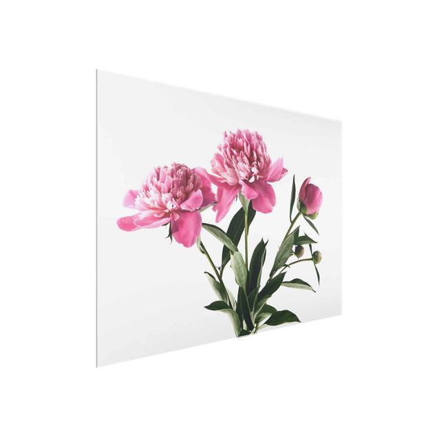 Deko Blume Blüten und Knospen Pink auf Weiß