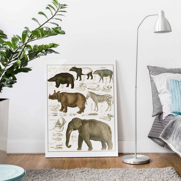 Wandbilder Elefanten Vintage Lehrtafel Elefant, Zebra und Nashorn