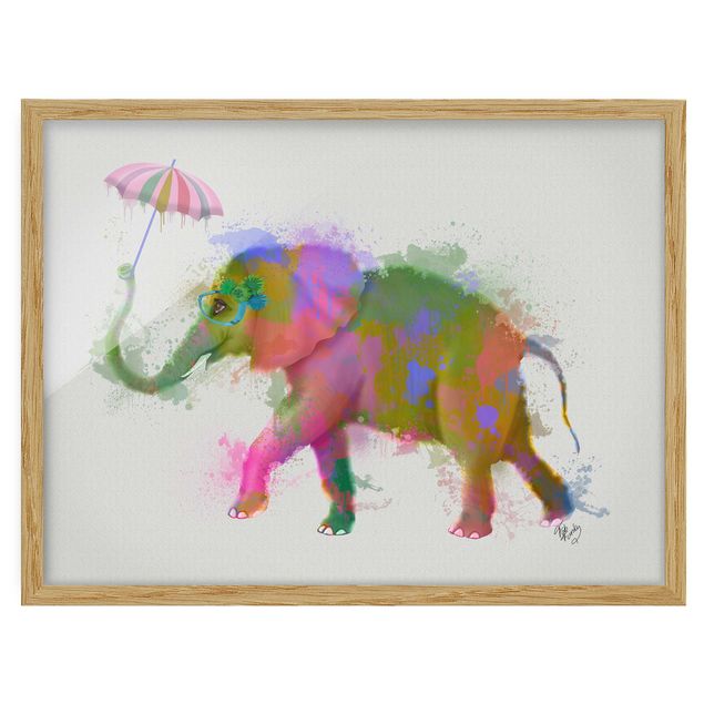 Wanddeko Schlafzimmer Regenbogen Splash Elefant