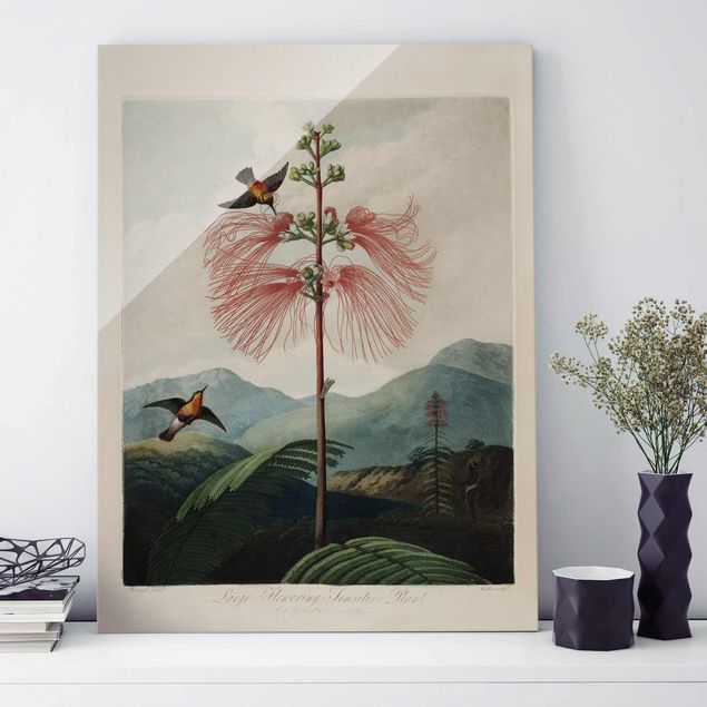 Wanddeko Schlafzimmer Botanik Vintage Illustration Blüte und Kolibri