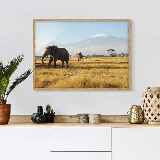 Wanddeko Wohnzimmer Elefanten vor dem Kilimanjaro in Kenia