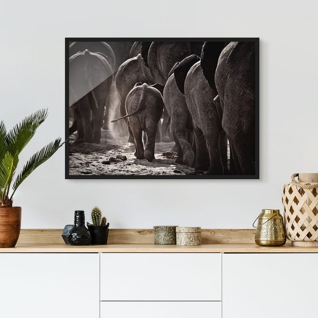 Wandbilder Elefanten Nach Hause gehen
