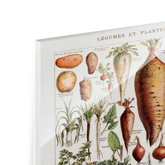 Wanddeko Vintage Vintage Lehrtafel Gemüse