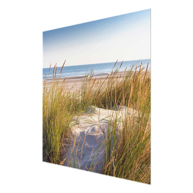 Glasbilder Dünen Stranddüne am Meer