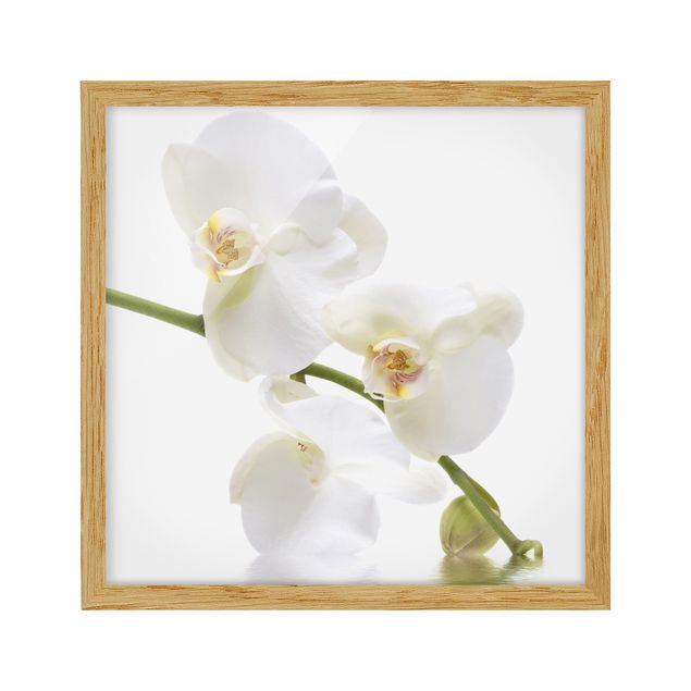 Wanddeko Schlafzimmer White Orchid Waters