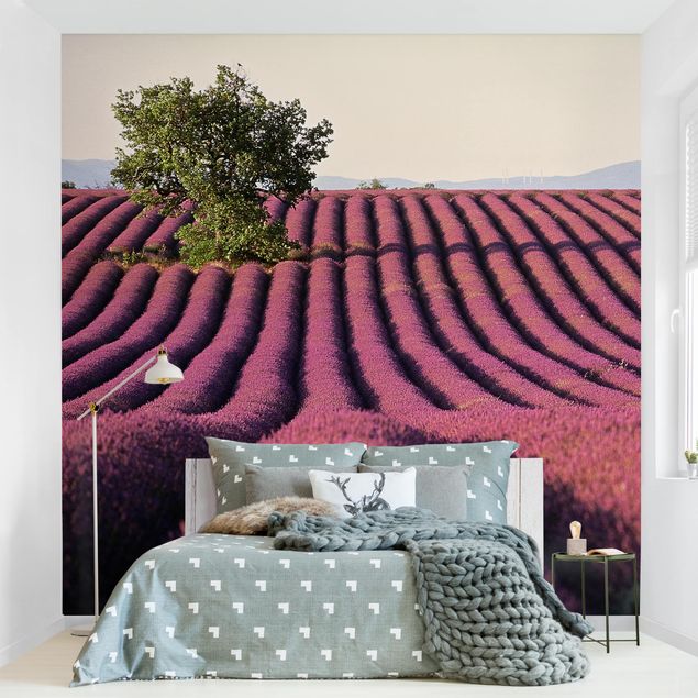 Wanddeko Schlafzimmer Lavender