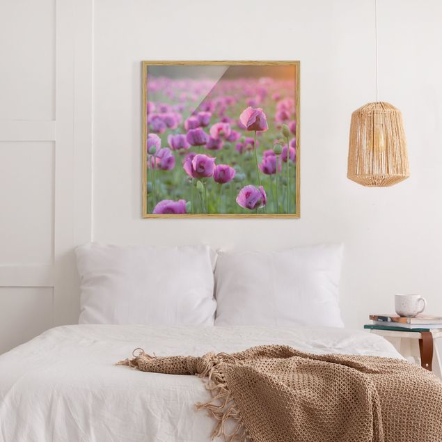 Wohndeko Botanik Violette Schlafmohn Blumenwiese im Frühling
