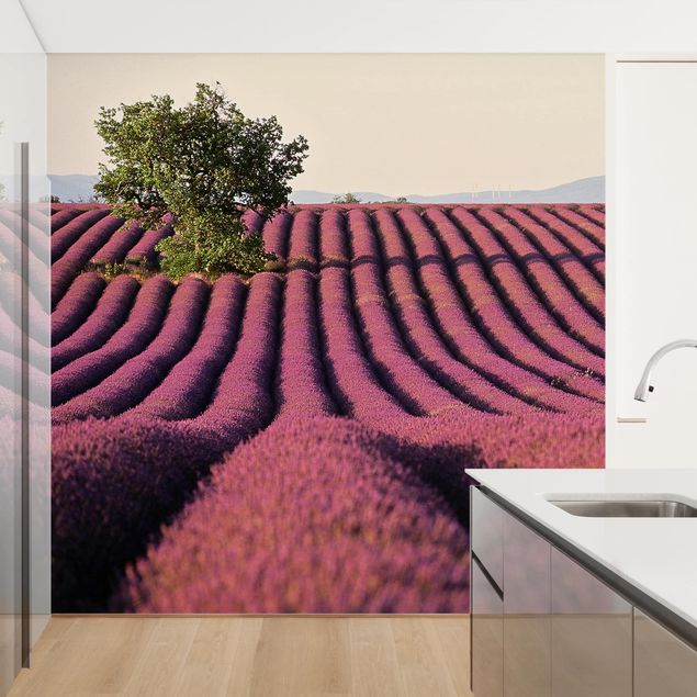 Wanddeko Esszimmer Lavender