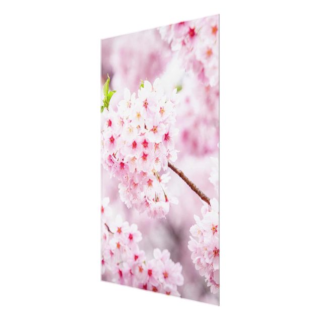Wanddeko Büro Japanische Kirschblüten