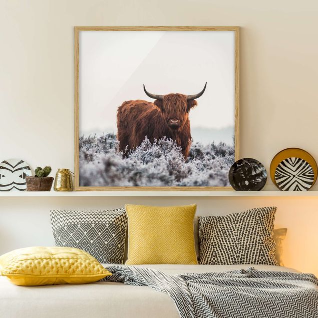 Wanddeko Schlafzimmer Bison in den Highlands