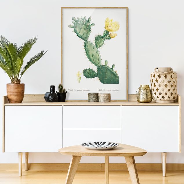 Wanddeko Schlafzimmer Botanik Vintage Illustration Kaktus mit gelber Blüte