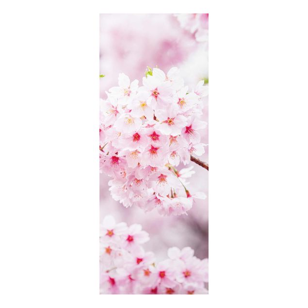 Wohndeko Kirschblüte Japanische Kirschblüten
