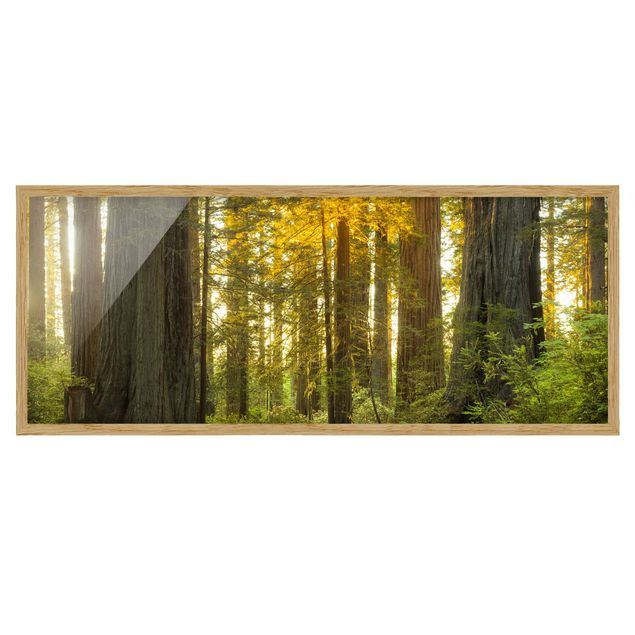 Wanddeko Esszimmer Redwood National Park