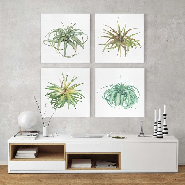 Wanddeko Schlafzimmer Luftpflanze Aquarell Set I