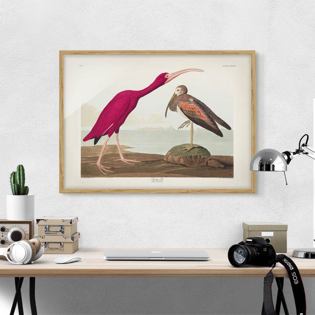 Strandbilder mit Rahmen Vintage Lehrtafel Roter Ibis
