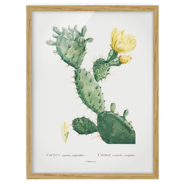 Wanddeko Flur Botanik Vintage Illustration Kaktus mit gelber Blüte