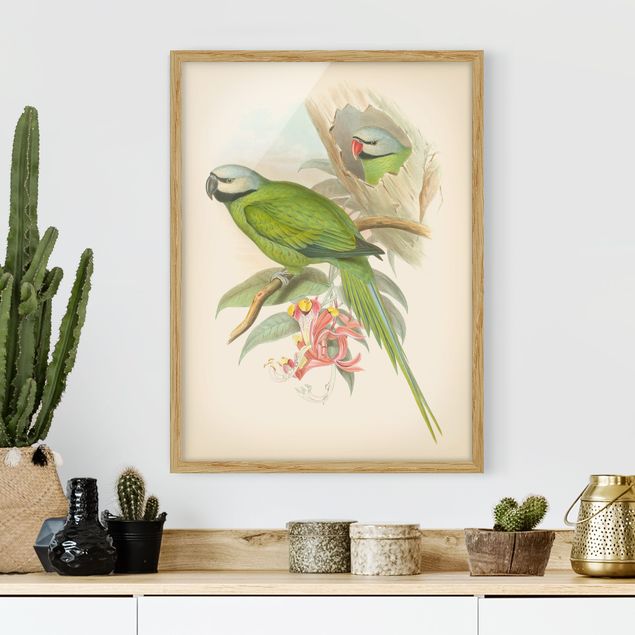 Wanddeko Wohnzimmer Vintage Illustration Tropische Vögel II