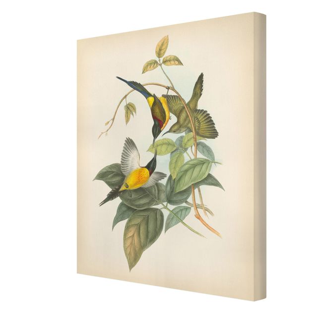 Wanddeko Büro Vintage Illustration Tropische Vögel IV