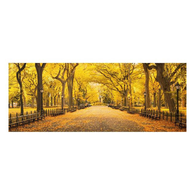 Wanddeko Esszimmer Herbst im Central Park