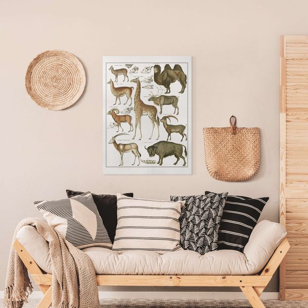 Wanddeko Wohnzimmer Vintage Lehrtafel Giraffe, Kamel und Lama