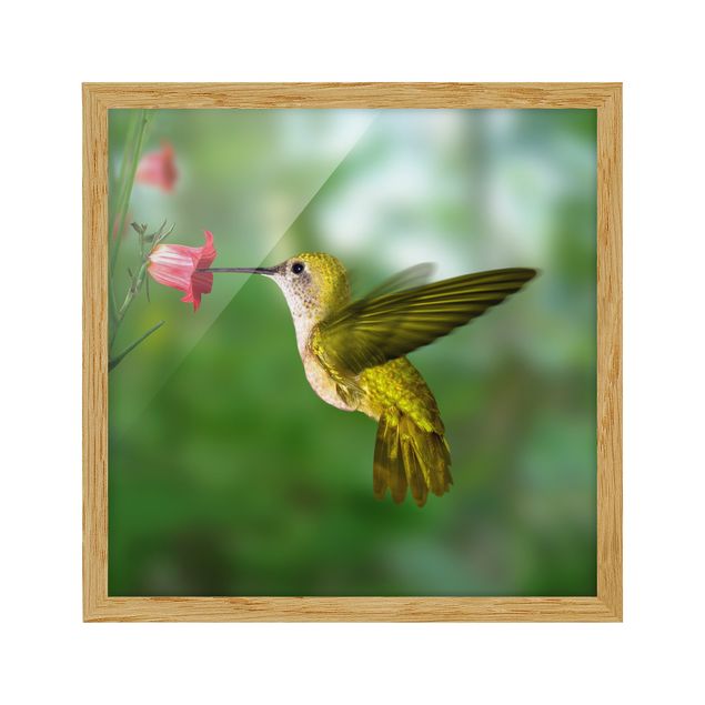Wanddeko Esszimmer Kolibri und Blüte