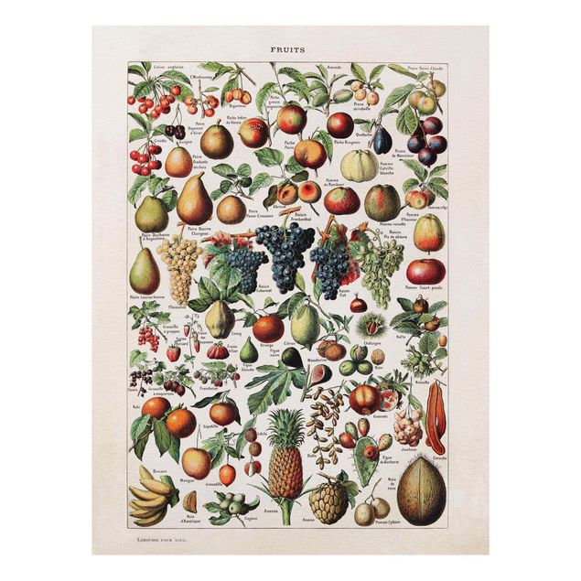 Deko Pflanzen Vintage Lehrtafel Früchte