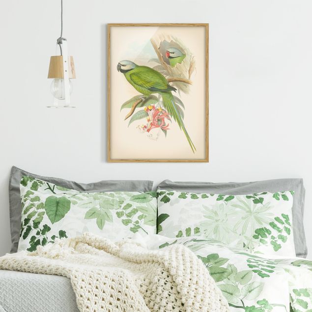 Wanddeko Schlafzimmer Vintage Illustration Tropische Vögel II
