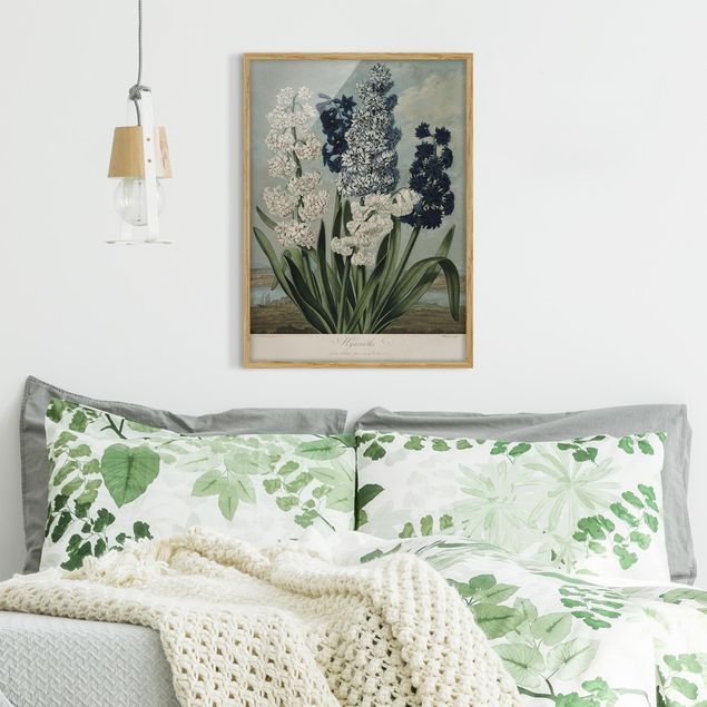 Wanddeko Schlafzimmer Botanik Vintage Illustration Blaue und weiße Hyazinthen