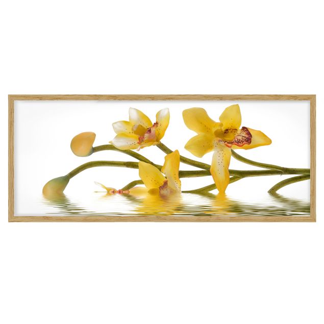 Wanddeko Flur Saffron Orchid Waters