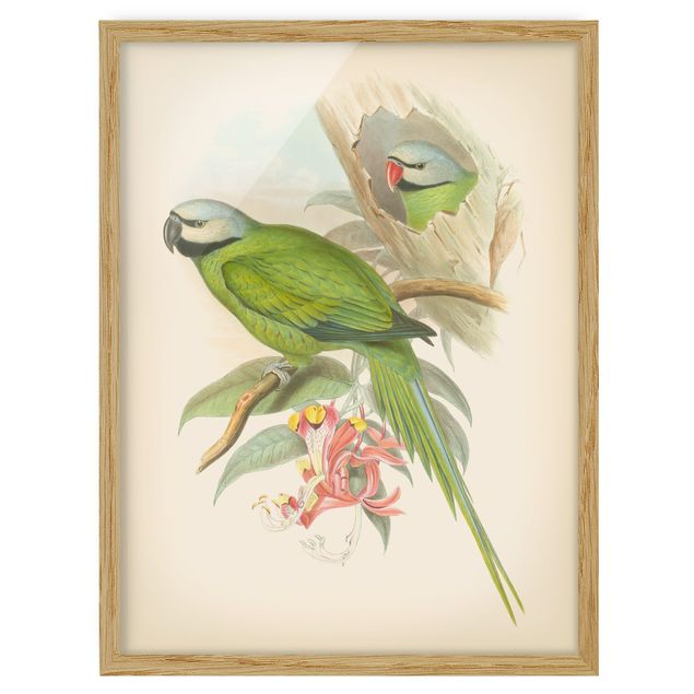 Wanddeko Esszimmer Vintage Illustration Tropische Vögel II