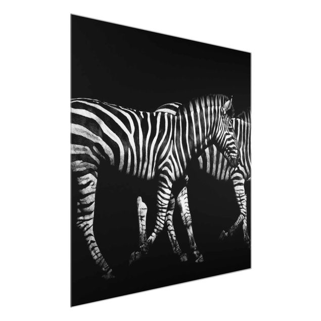 Wanddeko Büro Zebra vor Schwarz