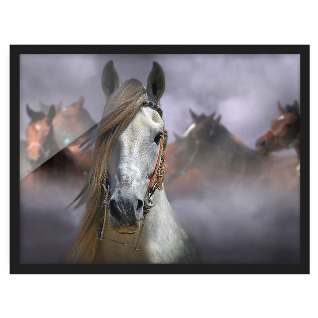 Wanddeko Esszimmer Horses in the Dust