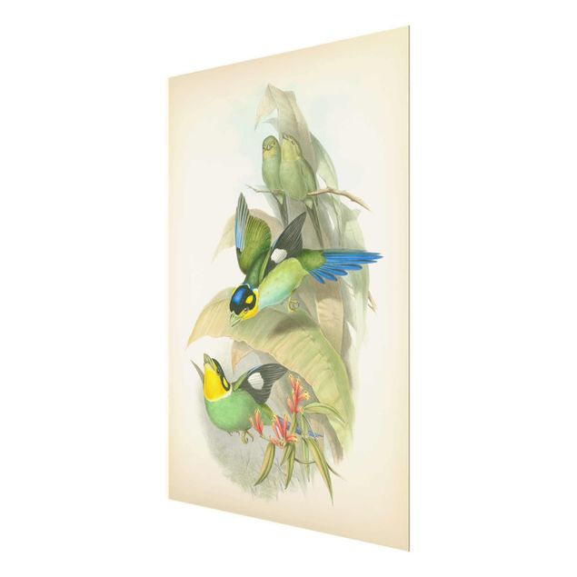 Wanddeko Treppenhaus Vintage Illustration Tropische Vögel