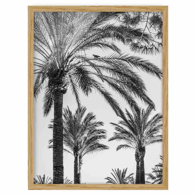 Wanddeko Esszimmer Palmen im Sonnenuntergang Schwarz-Weiß