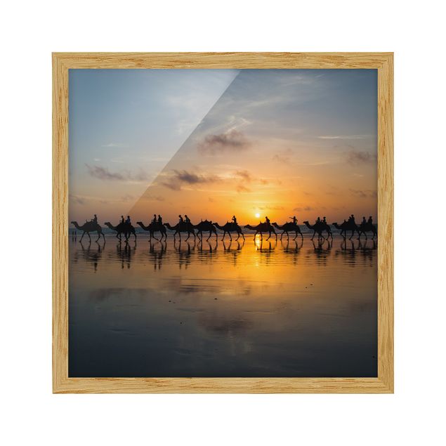 Wanddeko Esszimmer Kamele im Sonnenuntergang
