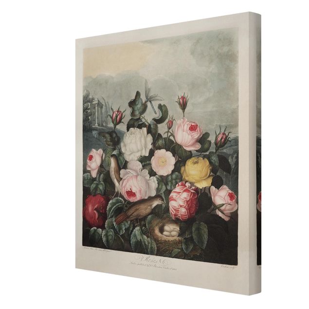 Wanddeko Büro Botanik Vintage Illustration Rosen