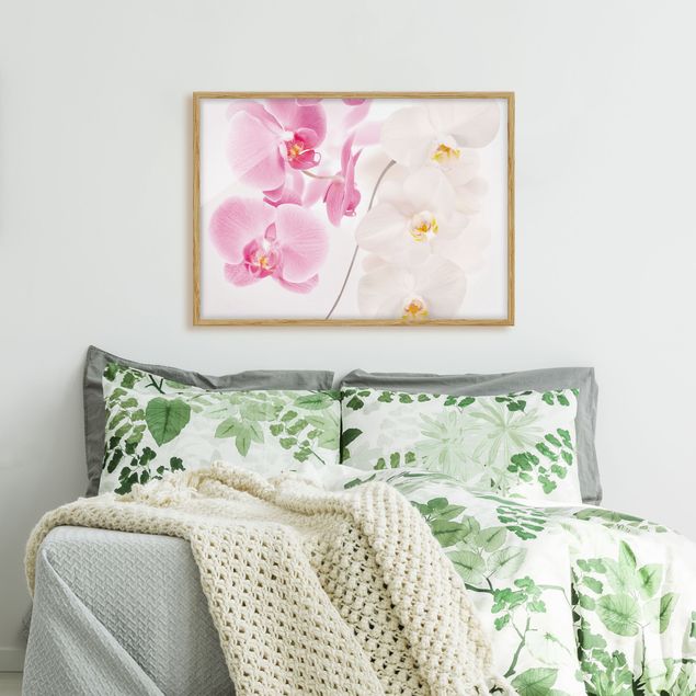 Wanddeko Schlafzimmer Delicate Orchids